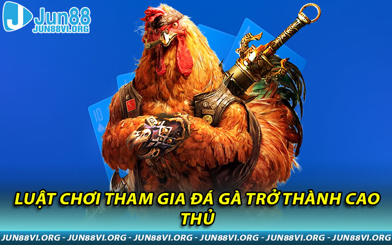 Luật chơi tham gia đá gà trở thành cao thủ