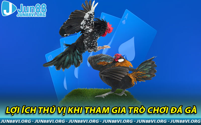 Lợi ích thú vị khi tham gia trò chơi đá gà