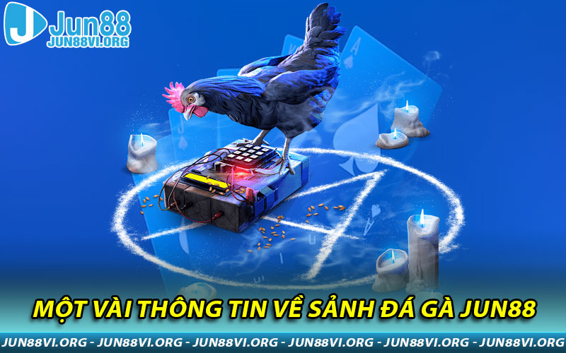 Một vài thông tin về sảnh Đá Gà JUN88