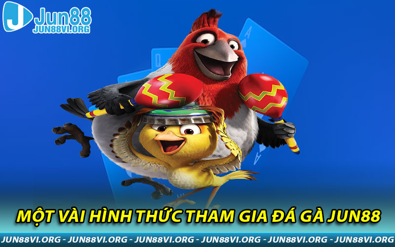 Một vài hình thức tham gia Đá Gà JUN88