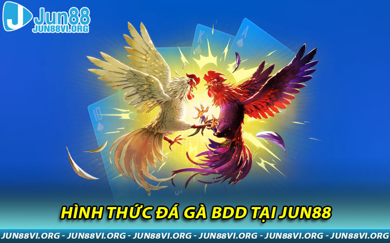 Hình thức đá gà BDD tại JUN88